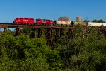 CP 7307